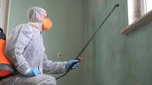 Best Residential Mold Inspection & Testing  in Kalama, WA